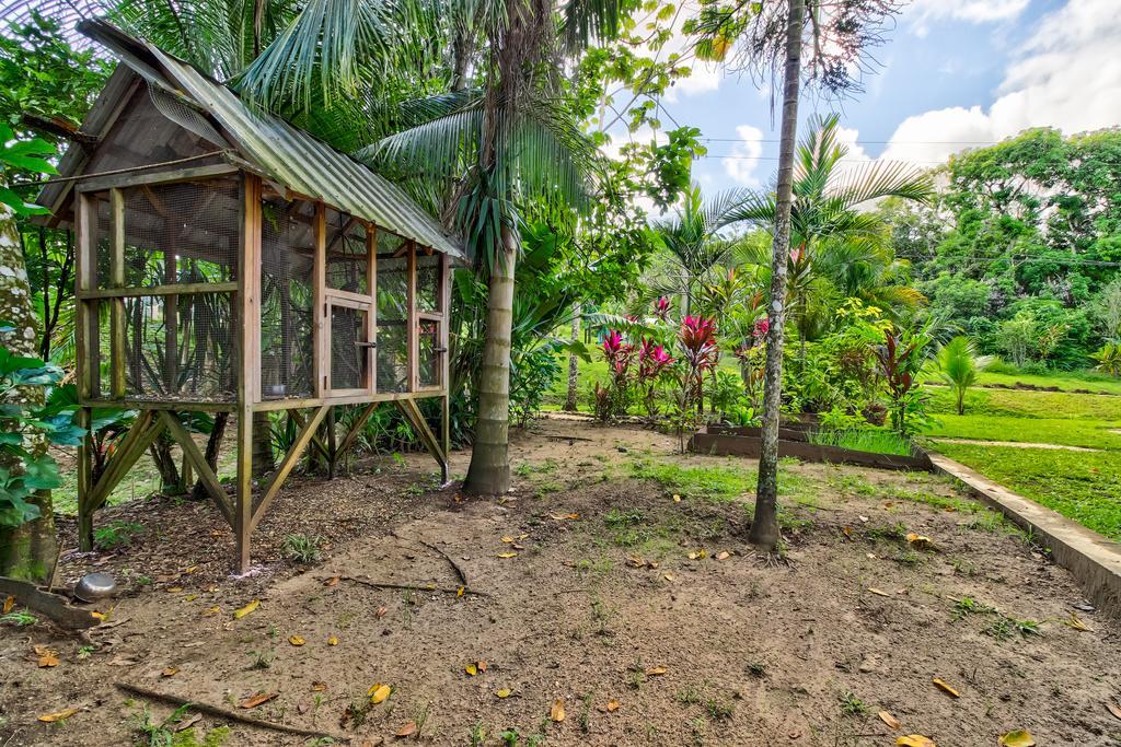 Toucan Suite @ Mahogany Hall San Ignacio Exterior photo